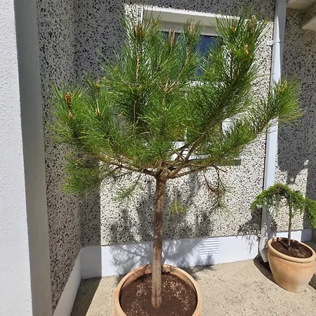 The Prázdninový dům Enniscorthy