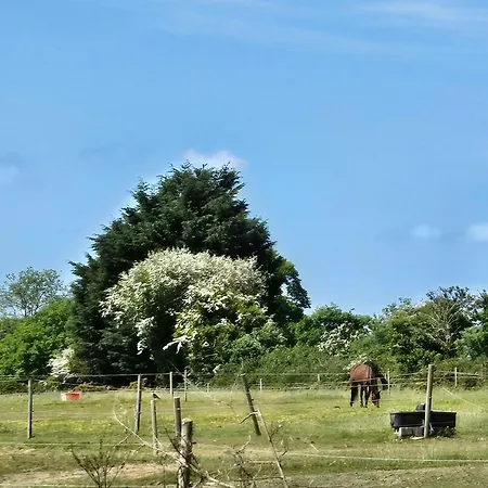The Prázdninový dům *