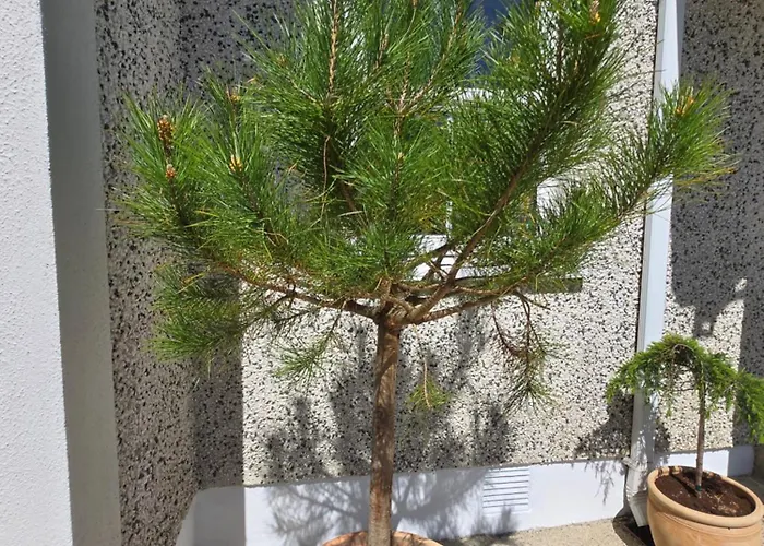 The Holiday home Enniscorthy