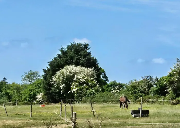 The Casa de Férias *