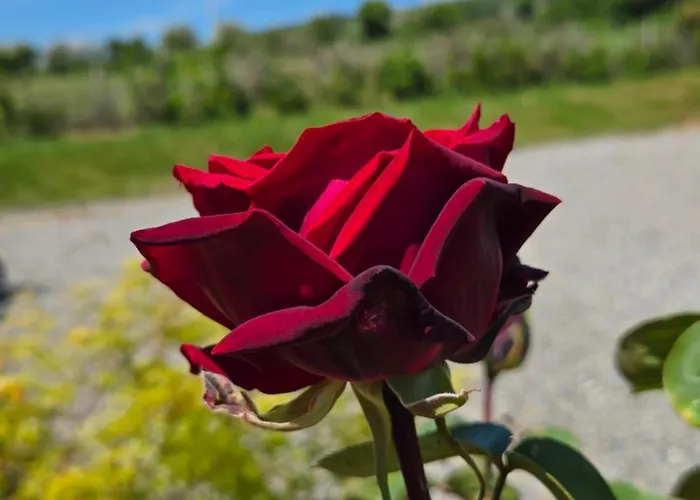 The Holiday home Enniscorthy